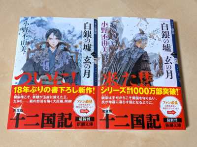待ちに待った十二国記の続編「白銀の墟 玄の月」が楽しみすぎて数年